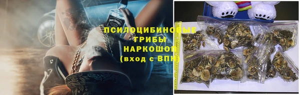 экстази Богородицк