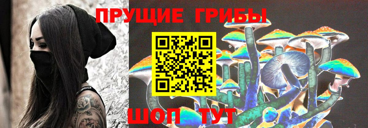 Галлюциногенные грибы мицелий Великий Устюг