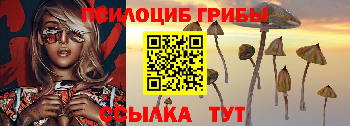 Великий Устюг  сколько стоит  Псилоцибиновые грибы мицелий  Вход с VPN  Псилоцибиновые грибы Cubensis 